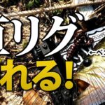 バス釣り 直リグの使い方  アクション 水中映像【ベコンクロー】