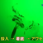 【貴重】水中映像！イカ釣りにおける”着ノリ”の瞬間！