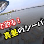 【浮きで】真昼のシーバス釣り！【前編】