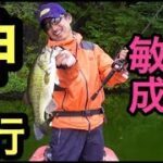 【神回】並木敏成プロがマシンガンでバス釣りしたら神技すぎた！！