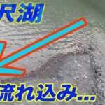 「この流れ込みにルアーを投げると…」丹沢湖でブラックバス釣り