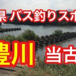 豊川 当古橋 愛知県 バス釣りスポット ブラックバス