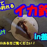 漁港だっていっぱい釣れるよ！イカ釣り㏌釜石港　三陸つりしとがんせ　vol 14