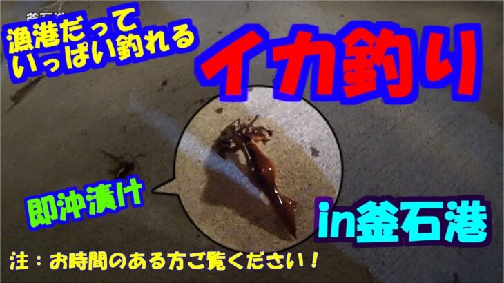 漁港だっていっぱい釣れるよ！イカ釣り㏌釜石港　三陸つりしとがんせ　vol 14