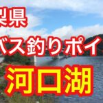 河口湖 山梨県 バス釣りポイント ブラックバス