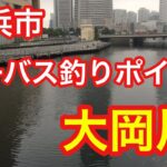 大岡川 横浜市 シーバス釣りポイント