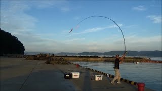 近郊の釣場でサビキ釣り！　前編