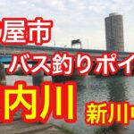 庄内川 新川中橋 名古屋市 バス釣りポイント ブラックバス