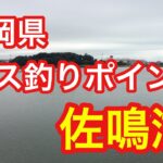 佐鳴湖 静岡県 バス釣りポイント ブラックバス