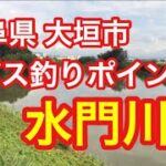 水門川 岐阜県 大垣市 バス釣りポイント ブラックバス