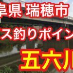 五六川 岐阜県 バス釣りポイント ブラックバス