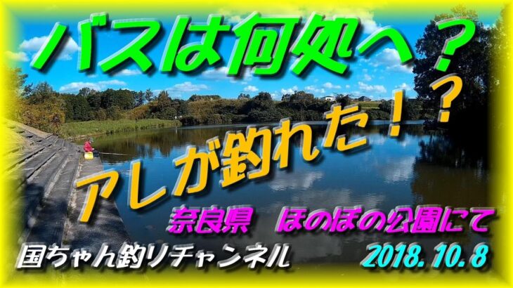 ブラックバスは何処へ？ なんとアレが釣れた！？　ルアーフィッシング　奈良県　ほのぼの公園