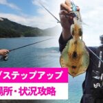 【秋エギング場所・状況別攻略】 動画で学ぶ！エギングステップアップ講座