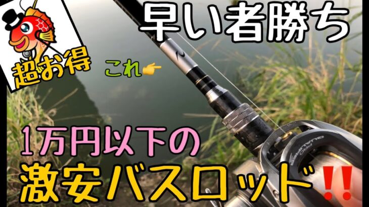 【バス釣り】激安だけど高性能なバスロッドを紹介【早い者勝ち】【タックル紹介】【釣具のポイント】