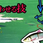 【巨大ルアー】ワザを使って巨大魚の捕食スイッチを入れる