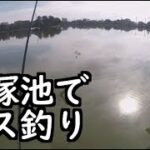 【茨城県水戸市】大塚池でブラックバス釣り