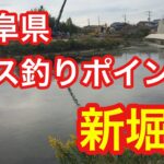 新堀川  岐阜県 バス釣りポイント ブラックバス