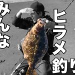 【サーフヒラメ】みんなごめん！！！