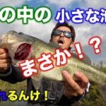 【大阪の野池でバス釣り】公園の中の小さい池で！まさか！？