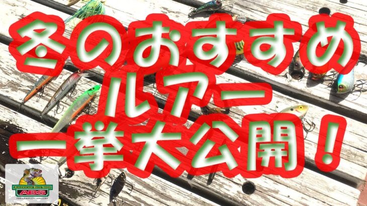 冬のバス釣りに釣れるおすすめルアー20種類以上を一挙大公開！　ABSバス釣り動画