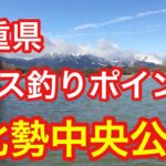 北勢中央公園  三重県 バス釣りポイント ブラックバス