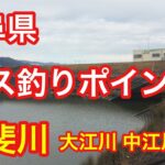 揖斐川 大江川 中江川水門 岐阜県バス釣りポイント ブラックバス