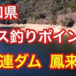 鳳来湖  宇連ダム   愛知県バス釣りポイント ブラックバス