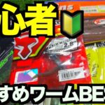 初心者必見ブラックバス釣りを始めよう！おすすめワームベスト５