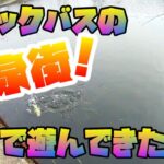 初春の琵琶湖　初バス釣りに行ってきたよ♪ブラックバスの温泉街へ　北湖東岸の温排水