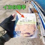 釣り餌がなくてもコンビニの「イカの塩辛」で無双できる説【コンビニ餌シリーズ#1】