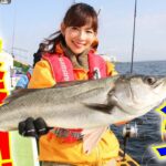 【驚愕〇〇cm！！】落とすだけで釣れる？東京湾シーバス祭り！