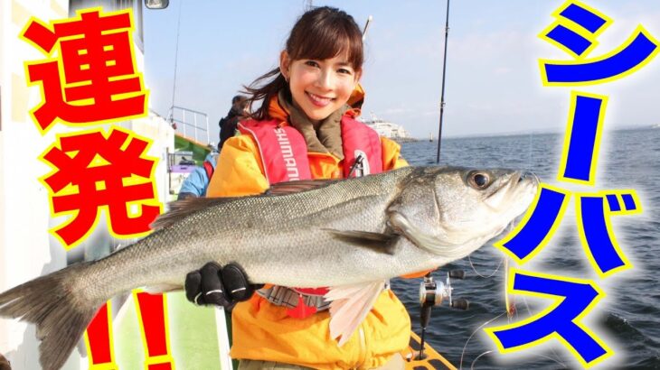 【驚愕〇〇cm！！】落とすだけで釣れる？東京湾シーバス祭り！