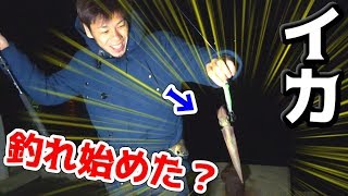 投げて放置するだけの簡単過ぎるイカ釣り法！！