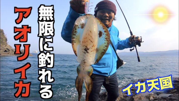 イカが無限に釣れる？イカのパラダイス！！