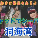 【シーバス】🐟バス釣りタックルとルアーで釣れ釣れ✨✨【福岡県】【北九州市】