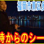 夜８時からシーバス釣りに行ってみた♯56【裏るれろ】