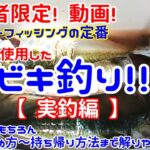 【サビキ釣り】 初心者 限定動画! 実釣編『釣り方～持ち帰り方まで解説』ファミリーフィッシングの定番 ウキを使用した投げサビキ(遠投サビキ) サビキ釣り入門