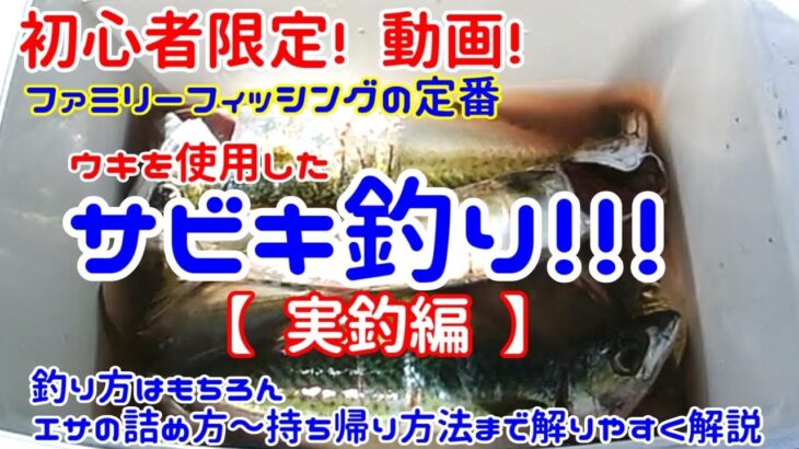 【サビキ釣り】 初心者 限定動画! 実釣編『釣り方～持ち帰り方まで解説』ファミリーフィッシングの定番 ウキを使用した投げサビキ(遠投サビキ) サビキ釣り入門