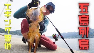 【五島列島】エギングの聖地で釣り開始！いきなり堤防でイカの大群に遭遇…。