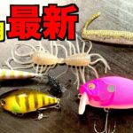 【6月最新】買って良かったバス釣りルアー達をご紹介！