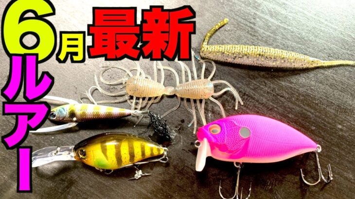 【6月最新】買って良かったバス釣りルアー達をご紹介！