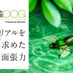 【バス釣り】リアルを求めた表面張力。“BUGDOG“ PV (バグドッグ) / 加藤誠司 秦拓馬 | ジャッカル