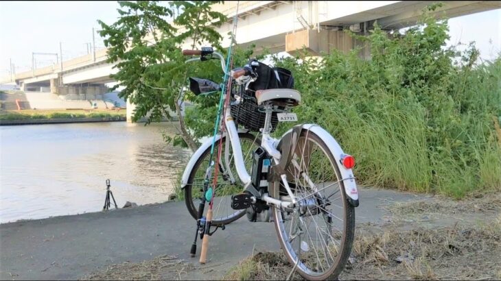 【釣り・VLOG】荒川、戸田橋付近でブラックバス釣り＠Hello Cyclingで電動アシスト自転車を借りての釣行，Pixel 3 XLで撮影