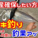 【サビキ釣り】初心者 必見  かんたん釣果アップ術！カゴに○○を付けるだけ！ボウズ逃れのチョイ足し仕掛け！(激ウマ メクリアジ 全身トロ？) 沖堤防 武庫川一文字  武庫一 ムコイチ