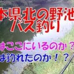 野池でブラックバス釣り～ 2019 夏 ～