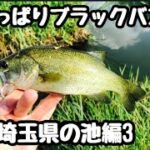 おかっぱりブラックバス釣り 埼玉県の池編3