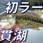 【田貫湖 バス釣り】初めてラージ（ブラックバス）をキャンプ場で釣りました　【ヒジリ釣行記】