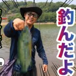 山陰地方の鳥取県でバス釣り！！！〜緑水湖リベンジ〜今度こそ必ず大物釣り上げてみせるぜ！！！