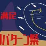 【秋田シーバス釣り】爆裂満足　サヨリパターン祭り