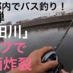 【東京バス釣り調査】第6弾 隅田川 編 都内 バス釣り デイシーバス